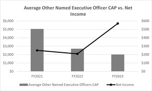 Other NEO CAP vs Net Income.jpg